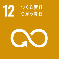 goal12 SDGs-12